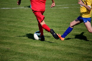 开云官网入口地址-中国足球俱乐部与国际知名足球学院合作，中国足球俱乐部和国家队